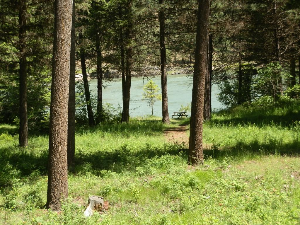 Riverfront Motel & Cabins Thompson Falls Номер фото